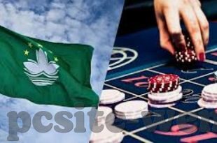 森林舞会电玩游戏下载-探索森林舞会电玩游戏的奇妙世界